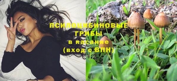 дмт Верхний Тагил