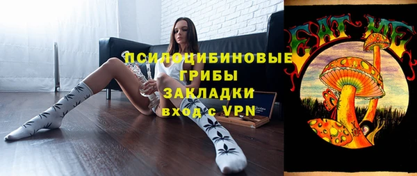 дмт Верхний Тагил
